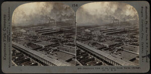 From Lithuania to the Chicago Stockyards