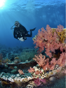 Diving for Treasure