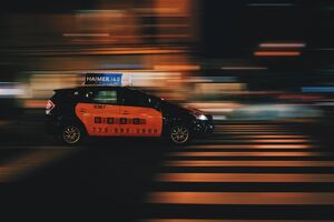 The Pedestrian