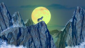 Coyote and Fire