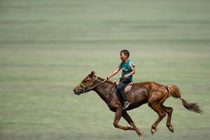A Day at the Races